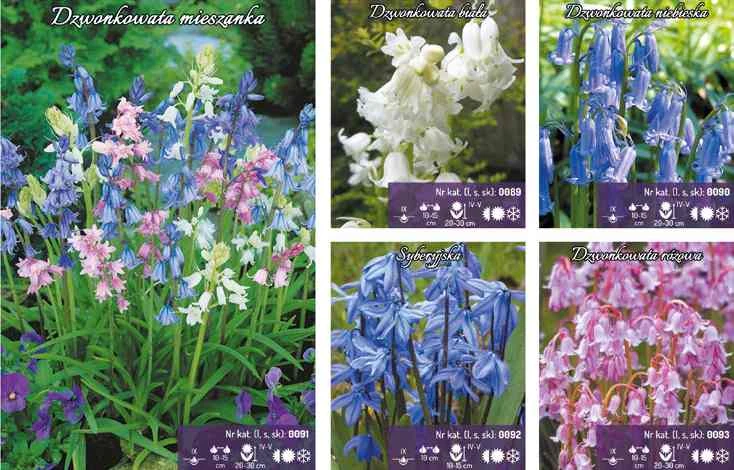 46968_60774