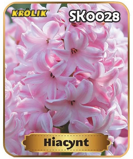 47963_45300