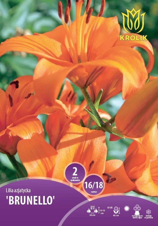 59226_54516