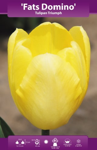47784_46307