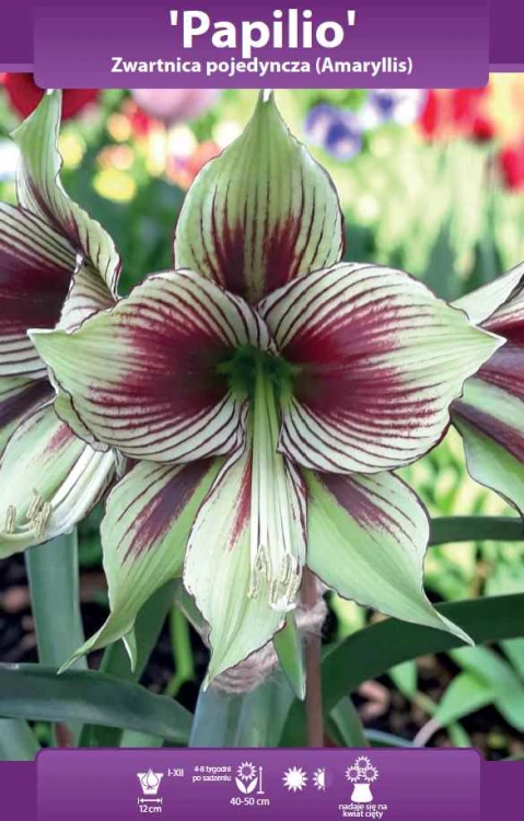 64251_61032