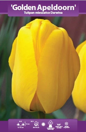 48476_46896