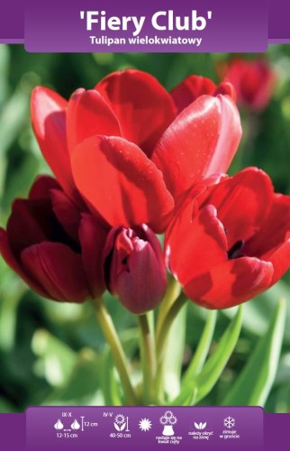 62347_59211
