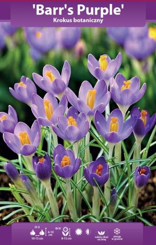 64117_61175