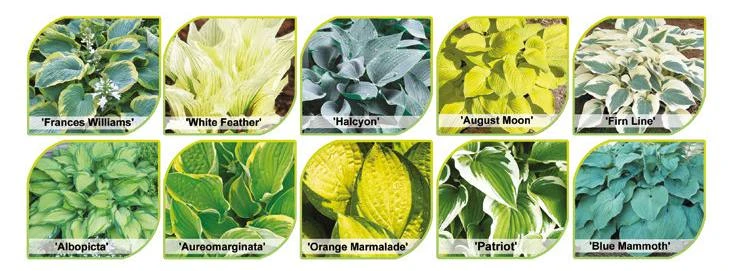 47592_60755