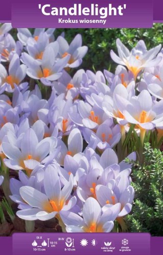 Schowek_07-03-2026_02.jpg