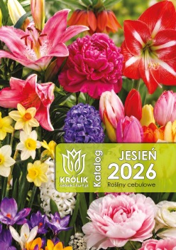 Katalog roślin cebulowych wiosna 2026